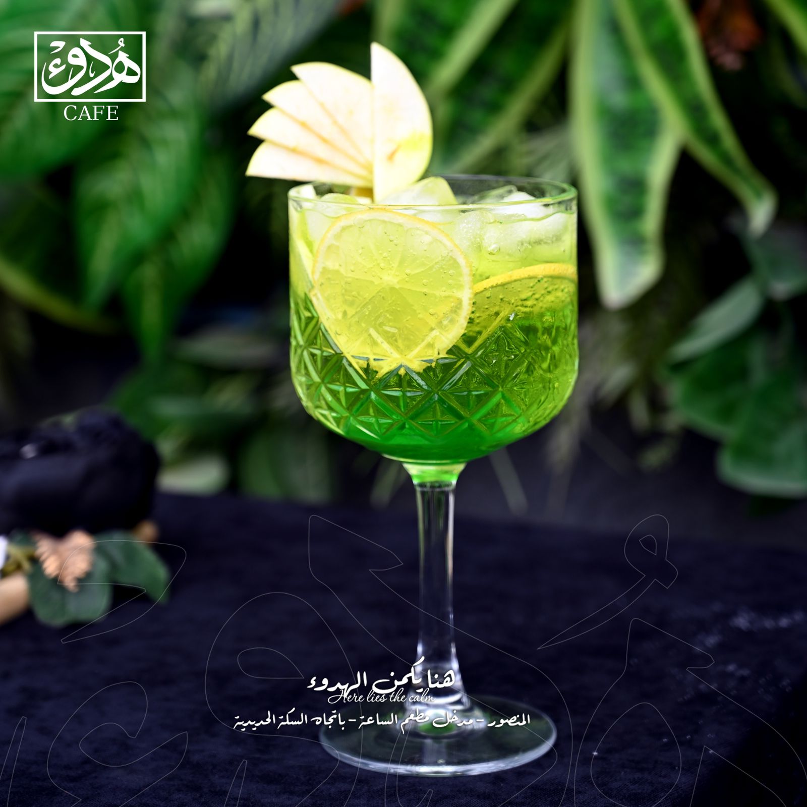 Fodflix - هدوء كافي - Category Image - mojito