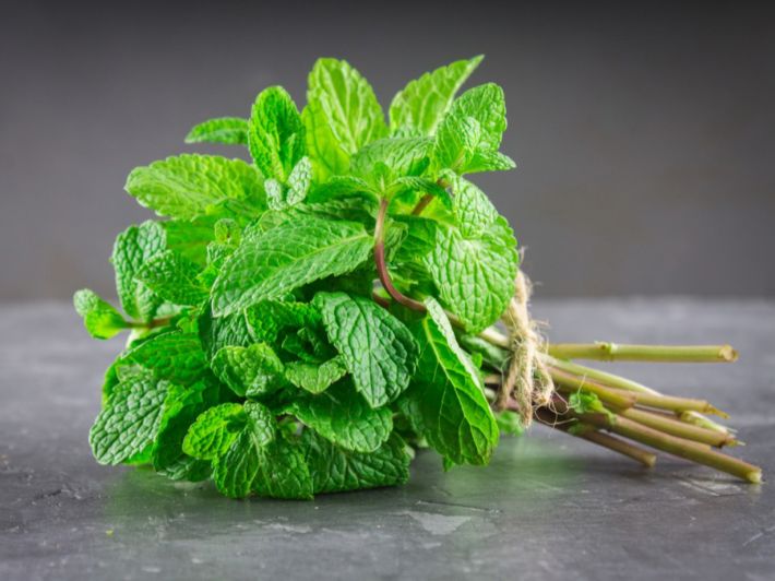 Fodflix - Product Image - نعناع