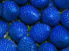 Fodflix - Product Image - سموذي فراولة زرقاء